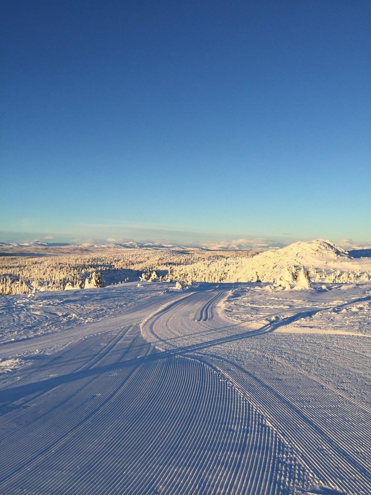 Kvitfjell med sitt flotte løypenettverk Galleribilde