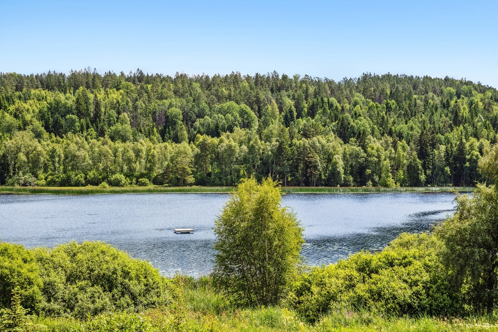 Langs Gallisvannet finner du flere tur- og rekreasjonsmuligheter - Kort avstand til barnehage, buss, matbutikk! Galleribilde