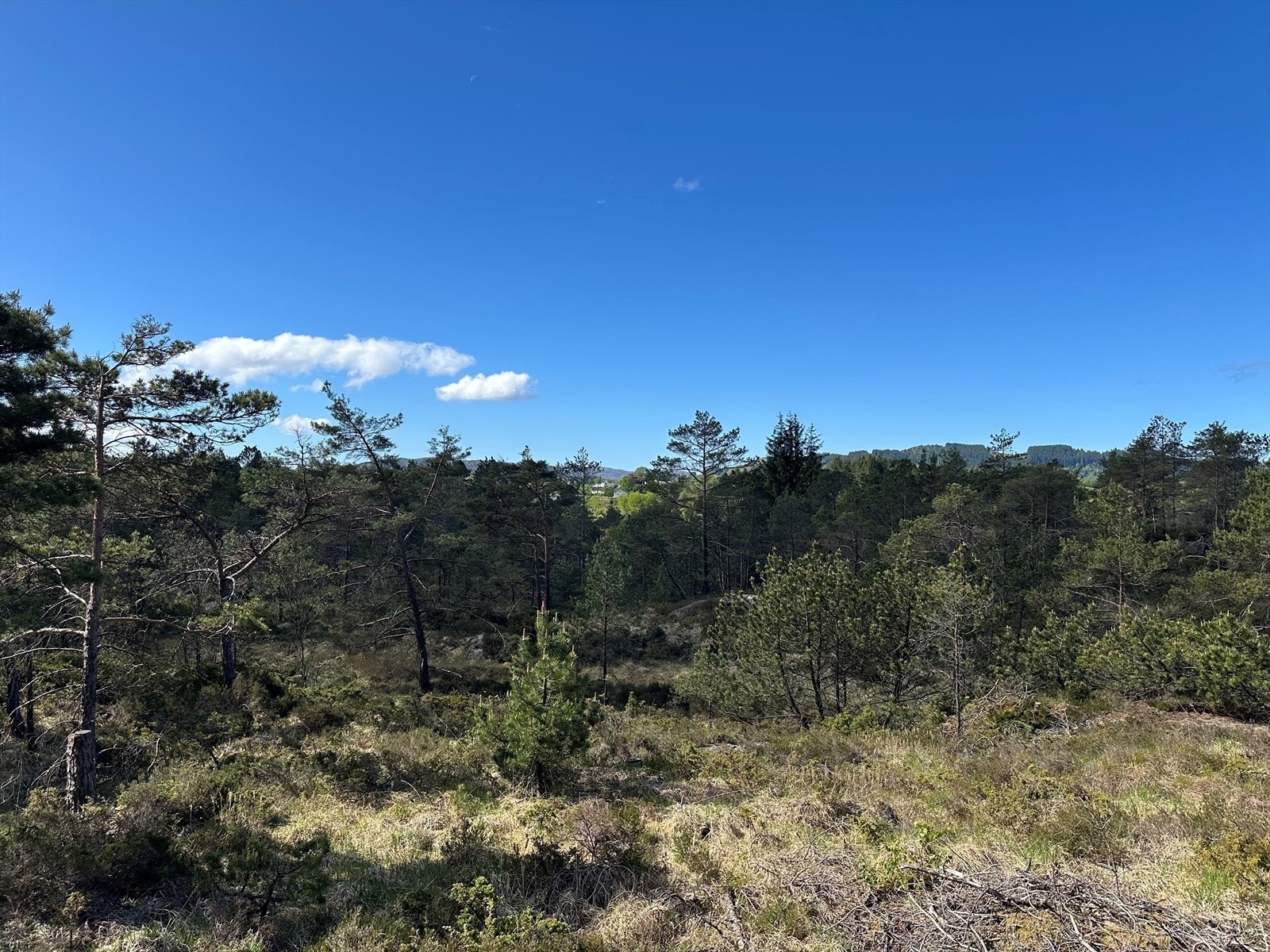 Her har man muligheten til å bygge en hytte i herlige tilbaketrukne omgivelser Galleribilde