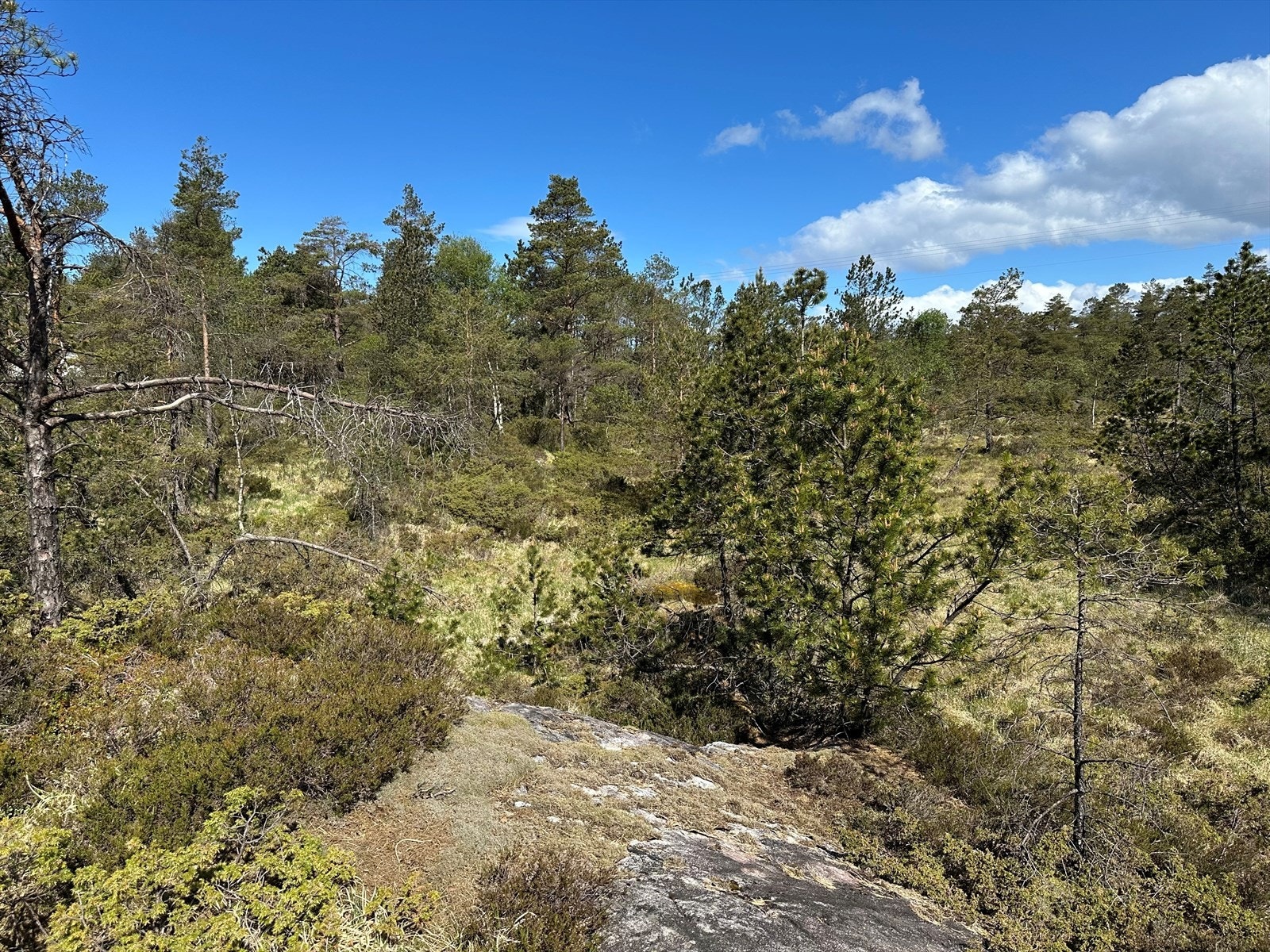 Her får man også rett til å bruke strandlinjen til bading og båtfeste Galleribilde