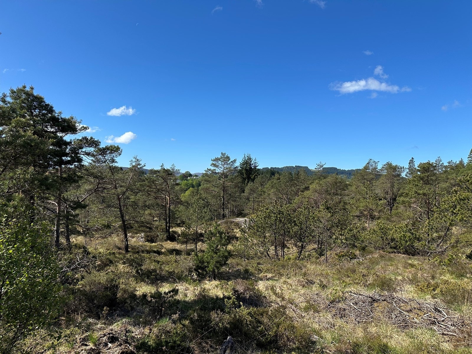 I tillegg får man muligheter for å leie parkeringsplass på nabotomten Galleribilde