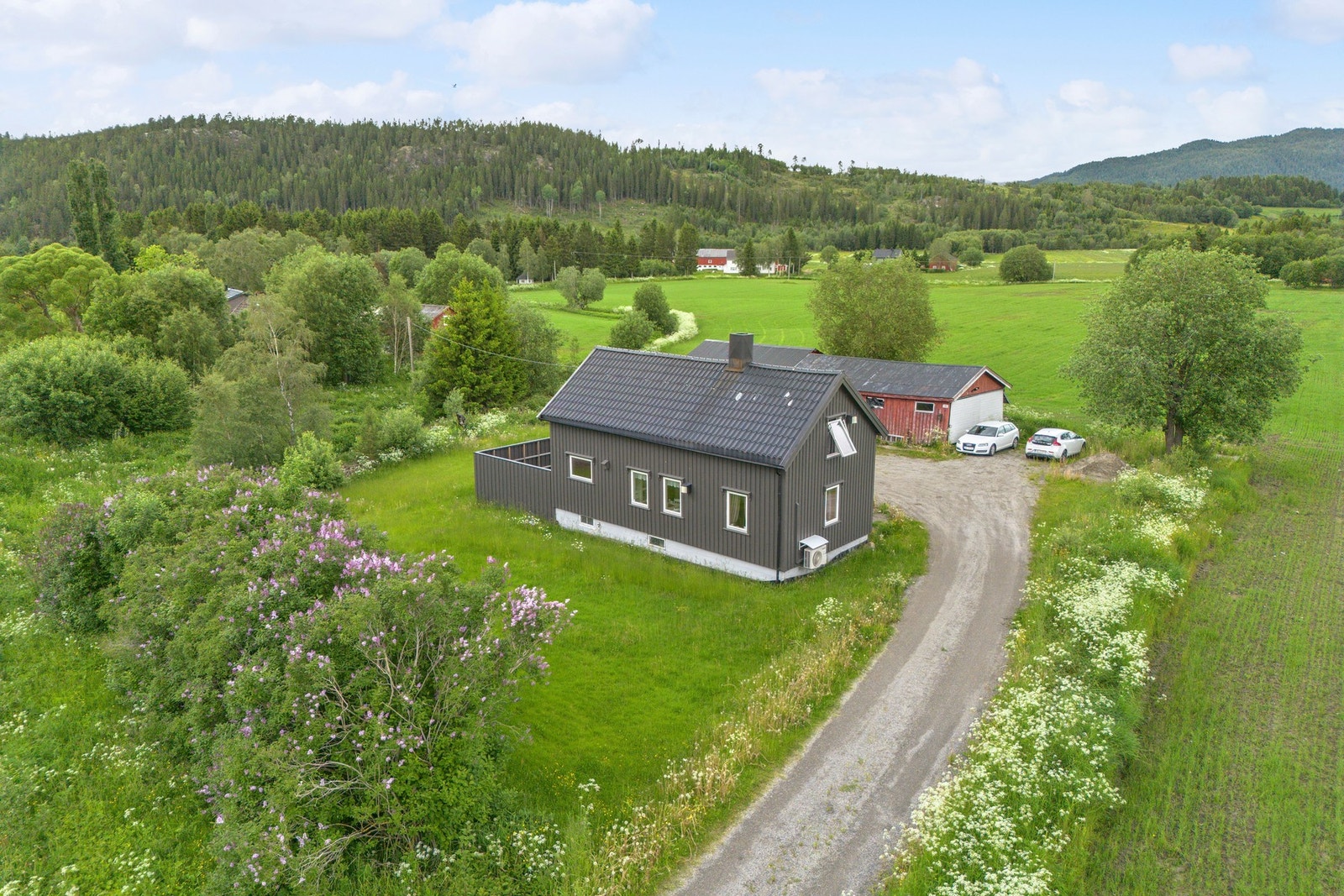 Velkommen til Namsosvegen 581! Galleribilde