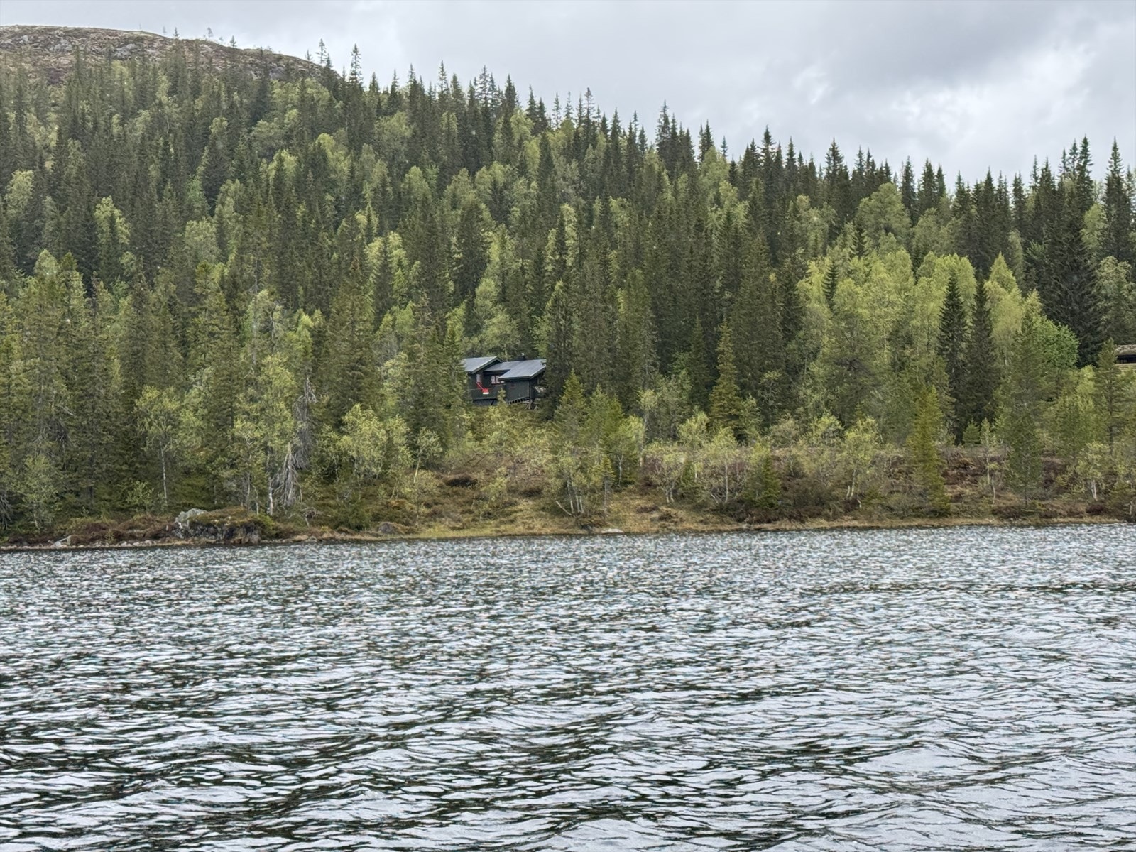 IMG_7096.JPG Galleribilde