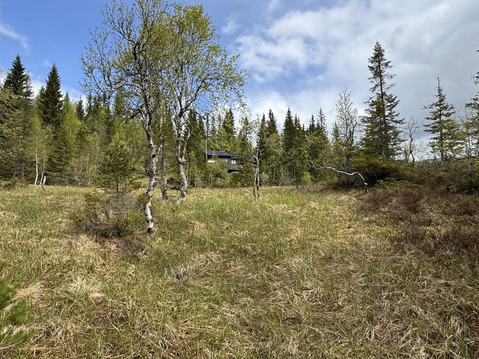 IMG_7085.JPG Galleribilde