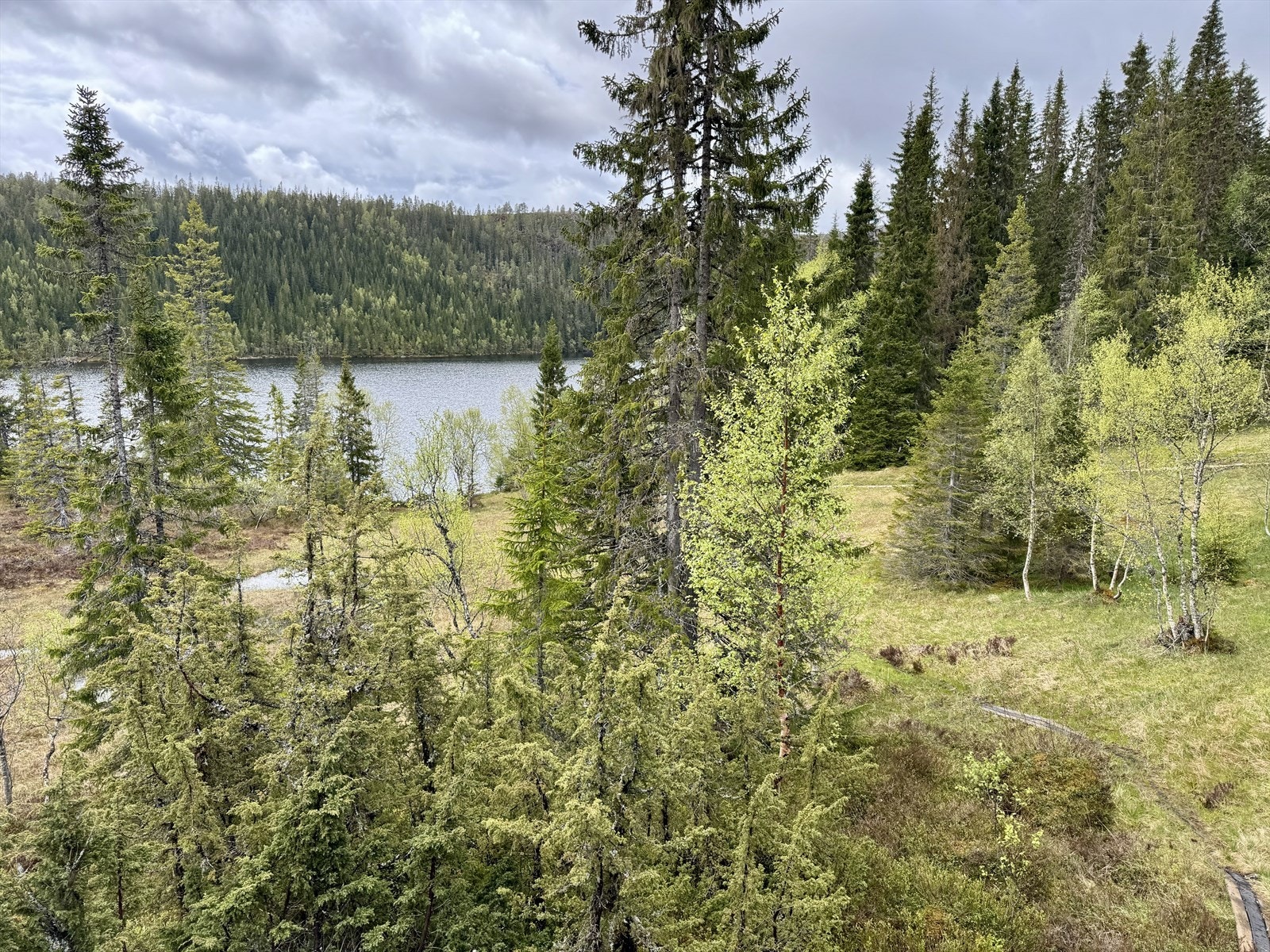 IMG_7056.JPEG Galleribilde