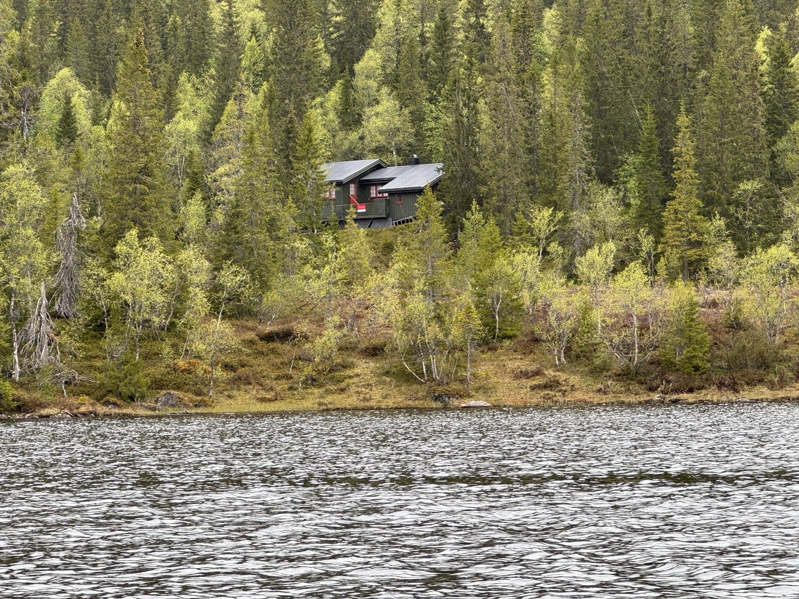 IMG_7097.JPG Galleribilde