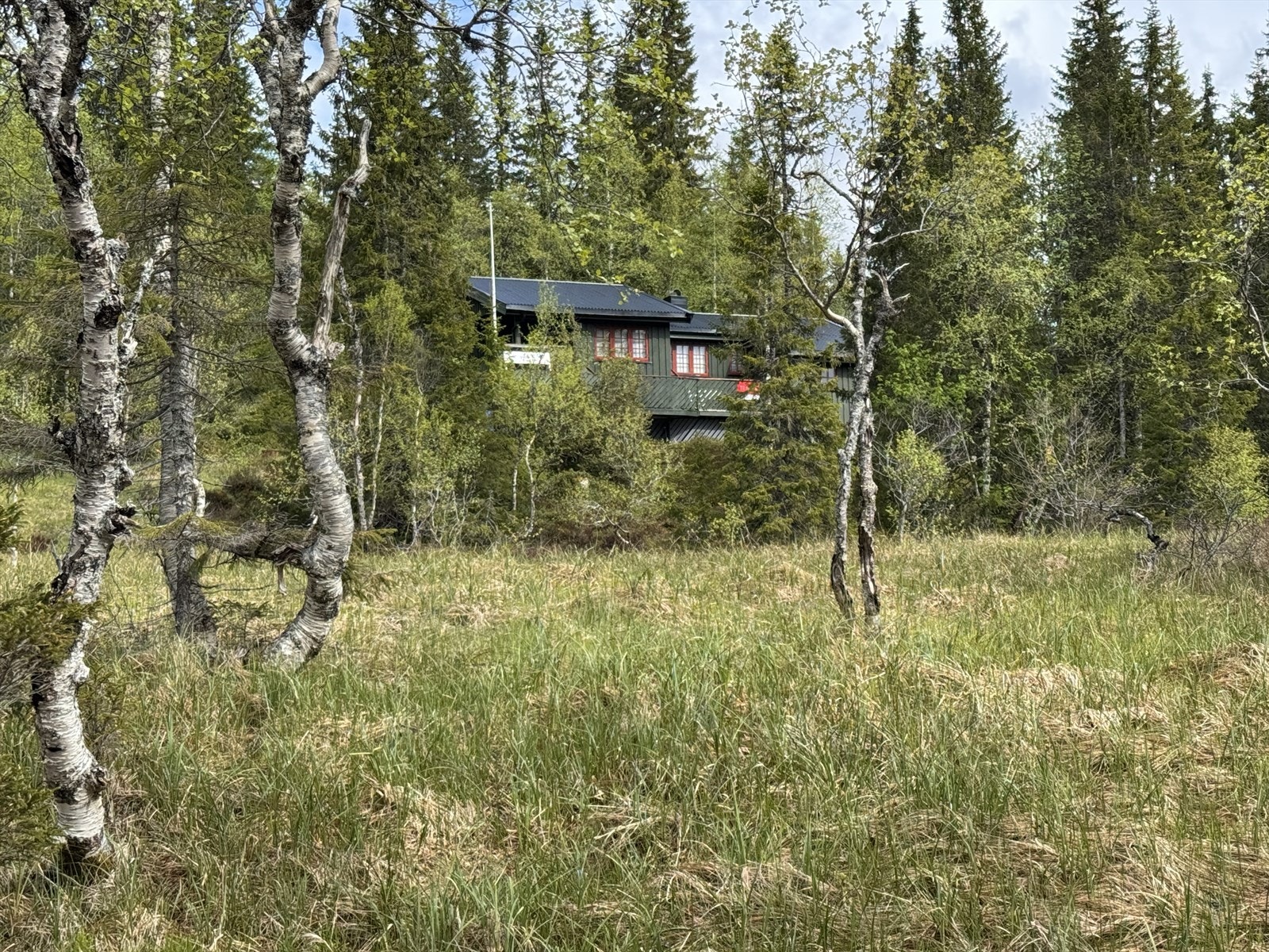 IMG_7086.JPG Galleribilde