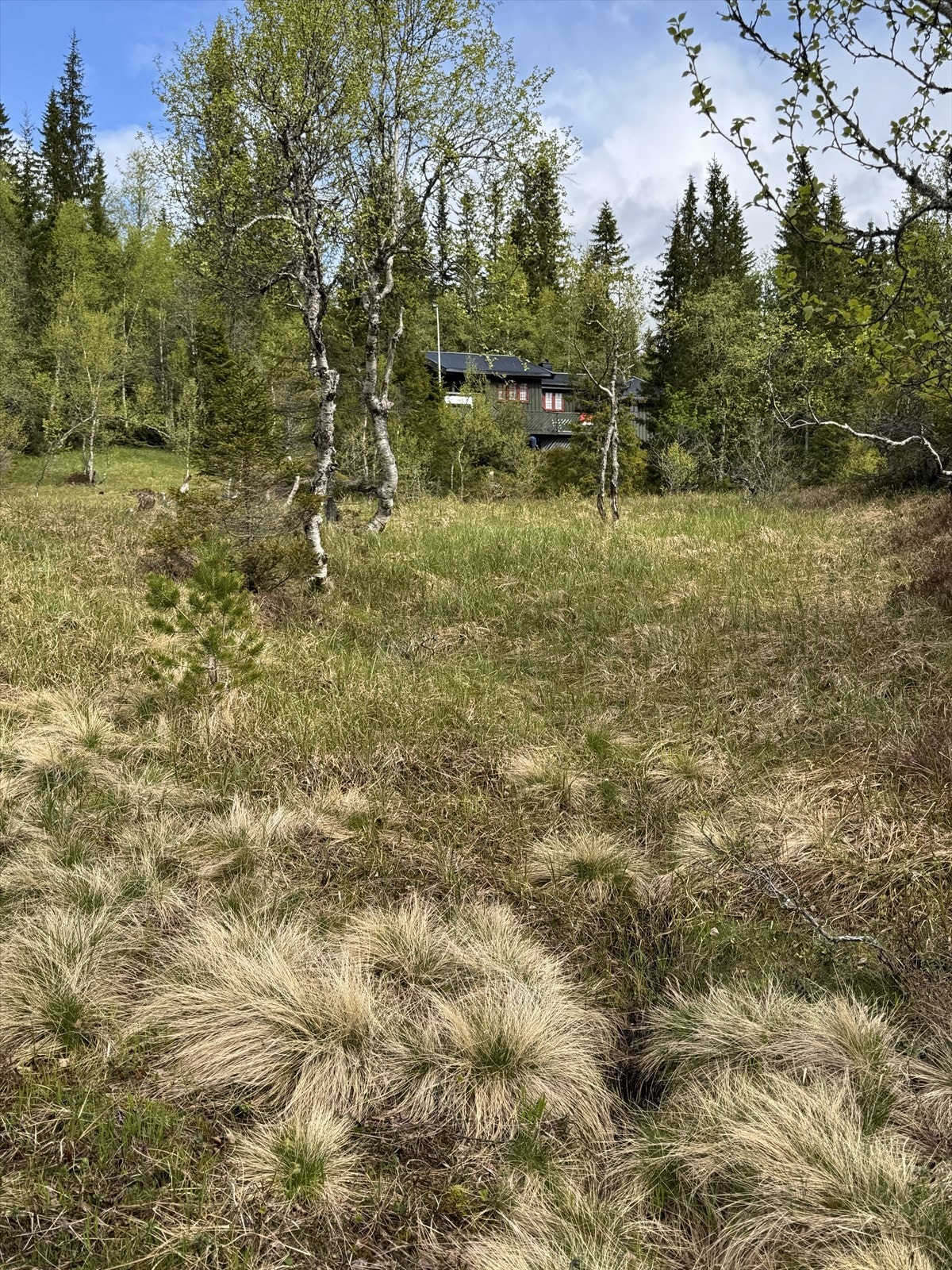 IMG_7084.JPG Galleribilde