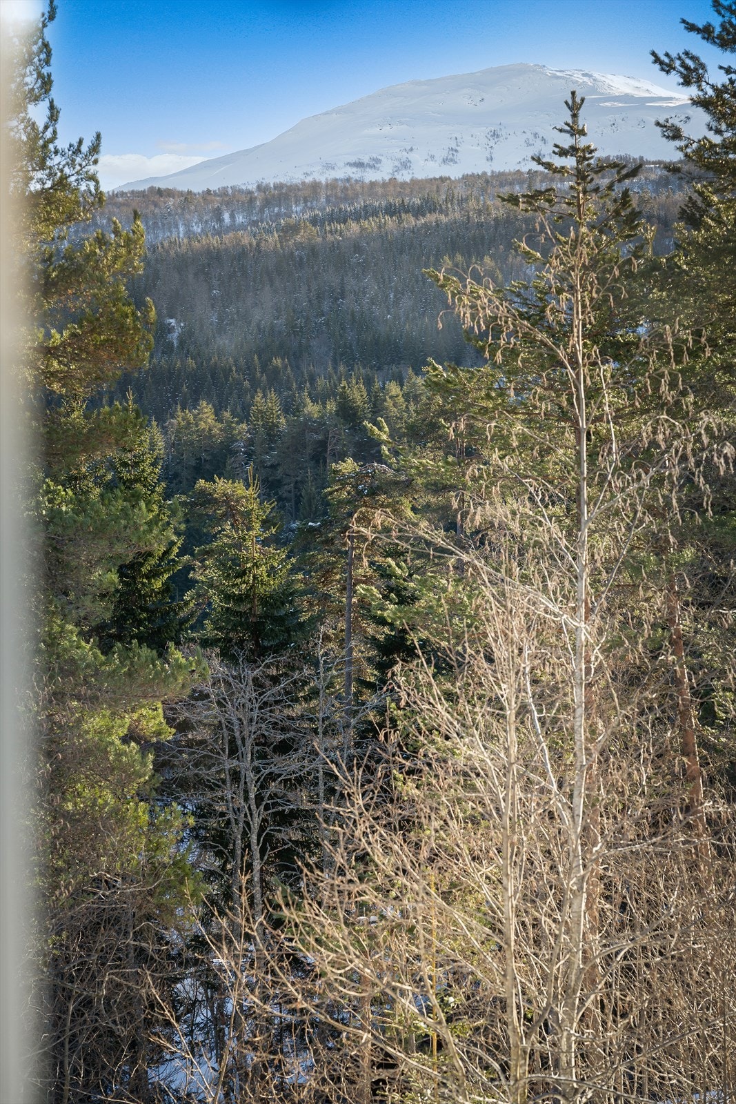 Utsikten fra stuevinduet. Galleribilde