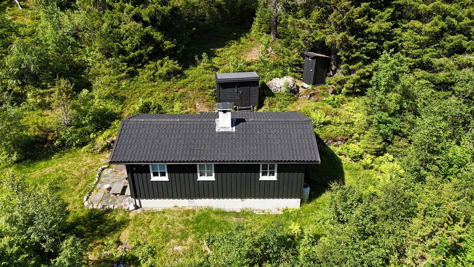 Hytten ligger usjenert til omgitt av frodig skog. Galleribilde