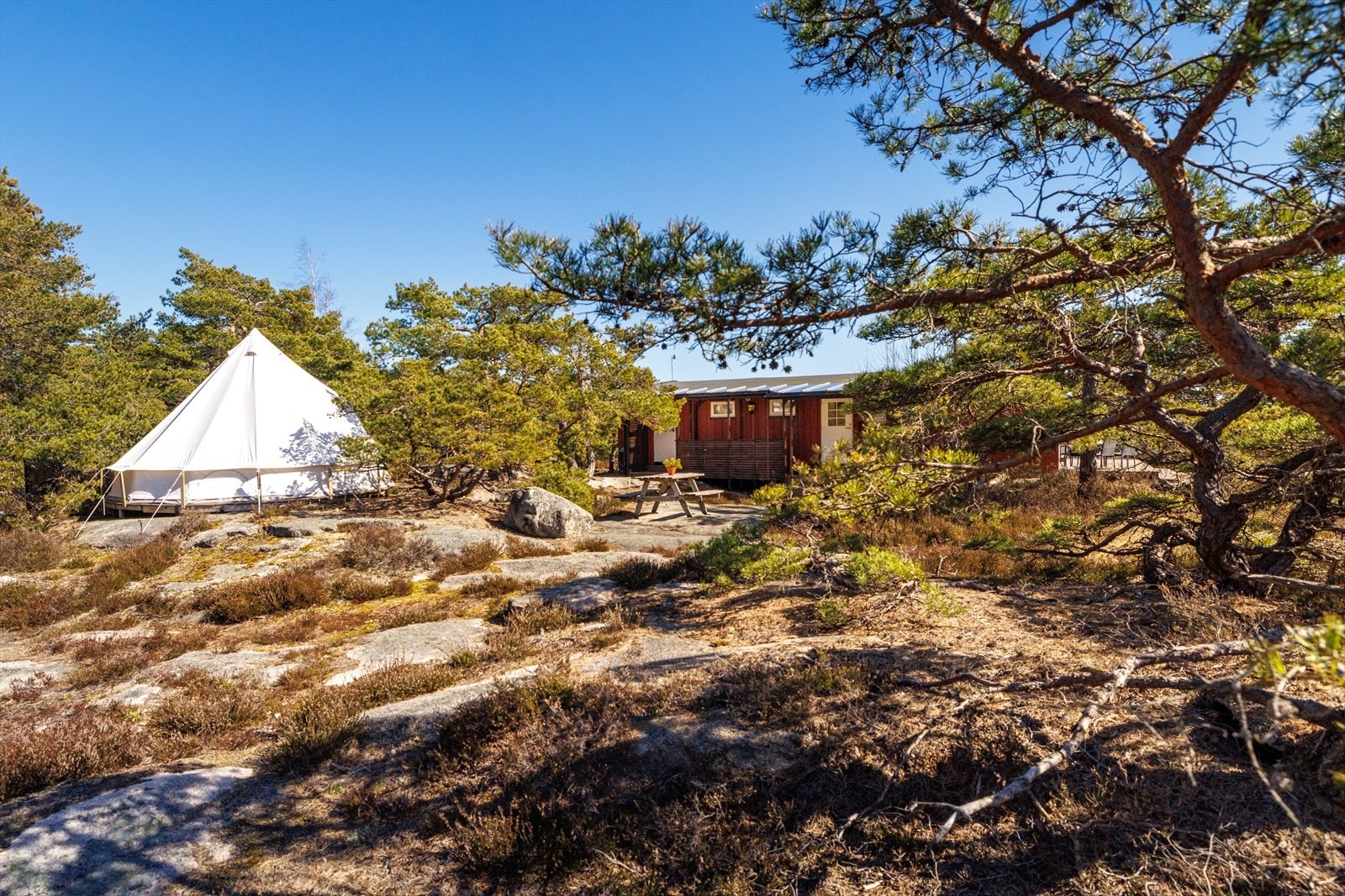 Tomten består av naturtomt med svabert, furutrær og lyng. Galleribilde