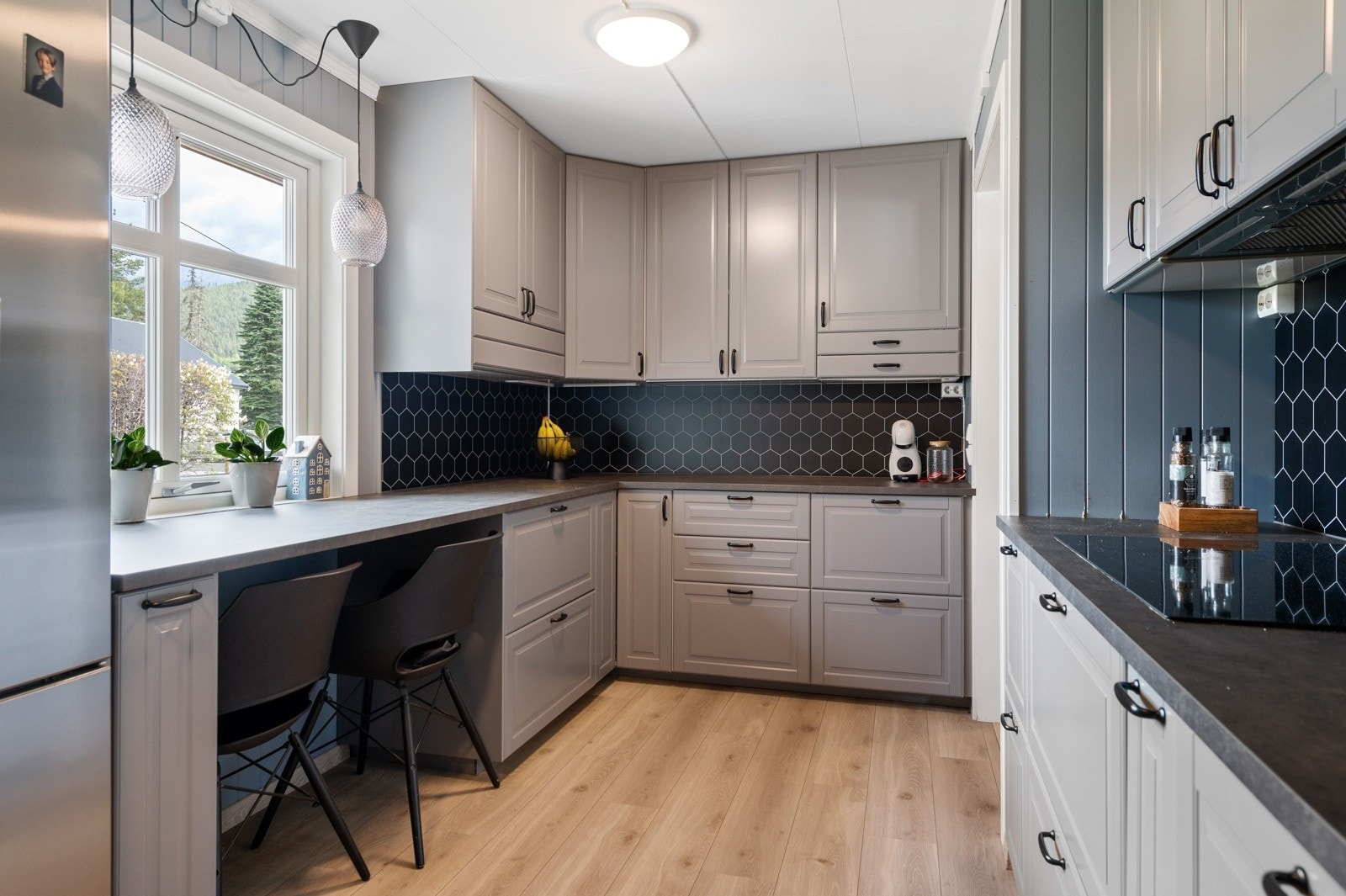 DSC_0488 Galleribilde