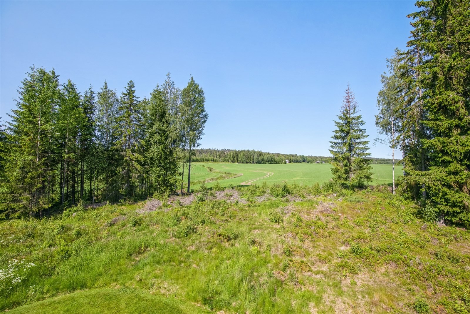Utsikt utover landskapet. Galleribilde