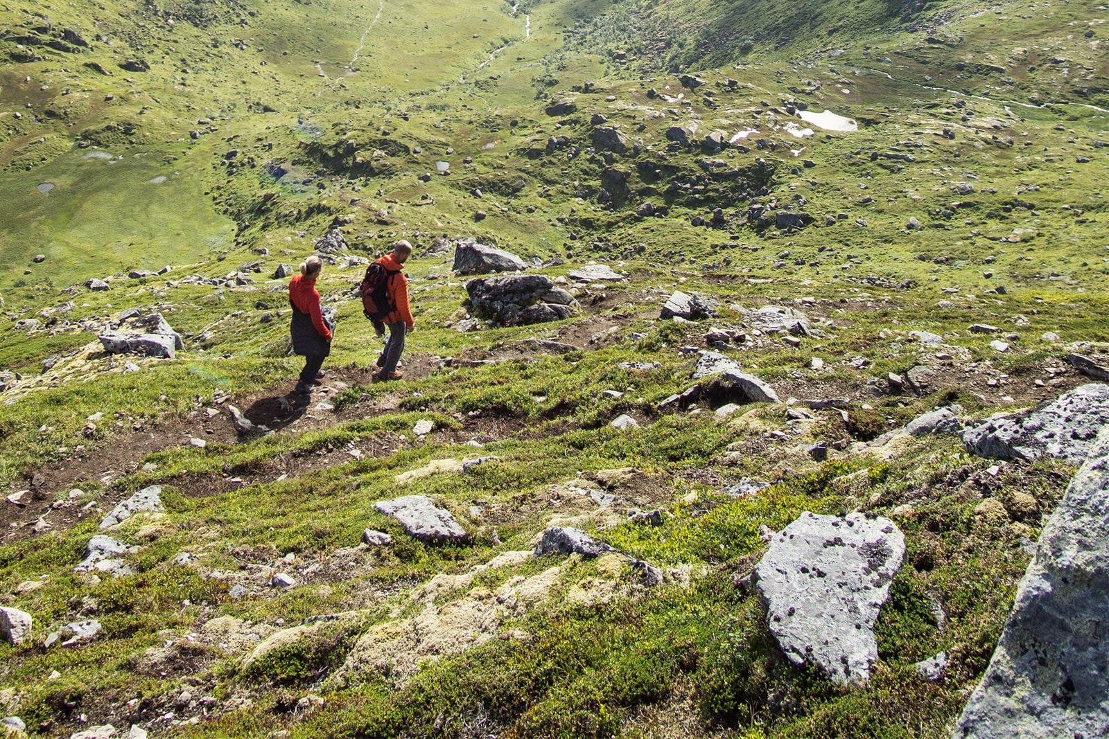 Lifjell - "lille Jotunheimen" er et fantastisk område for uforglemmelige fotturer i fjellet. Galleribilde