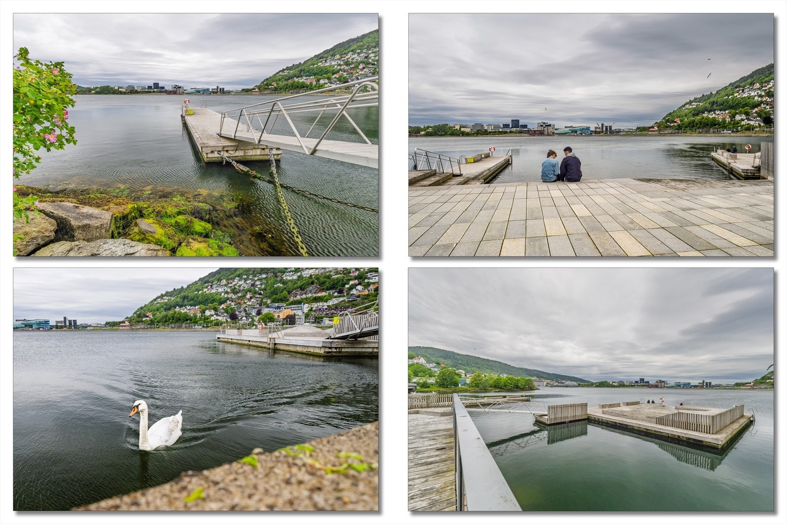 Store Lungegårdsvannet-Like ved boligen! Her bades det hele året Galleribilde