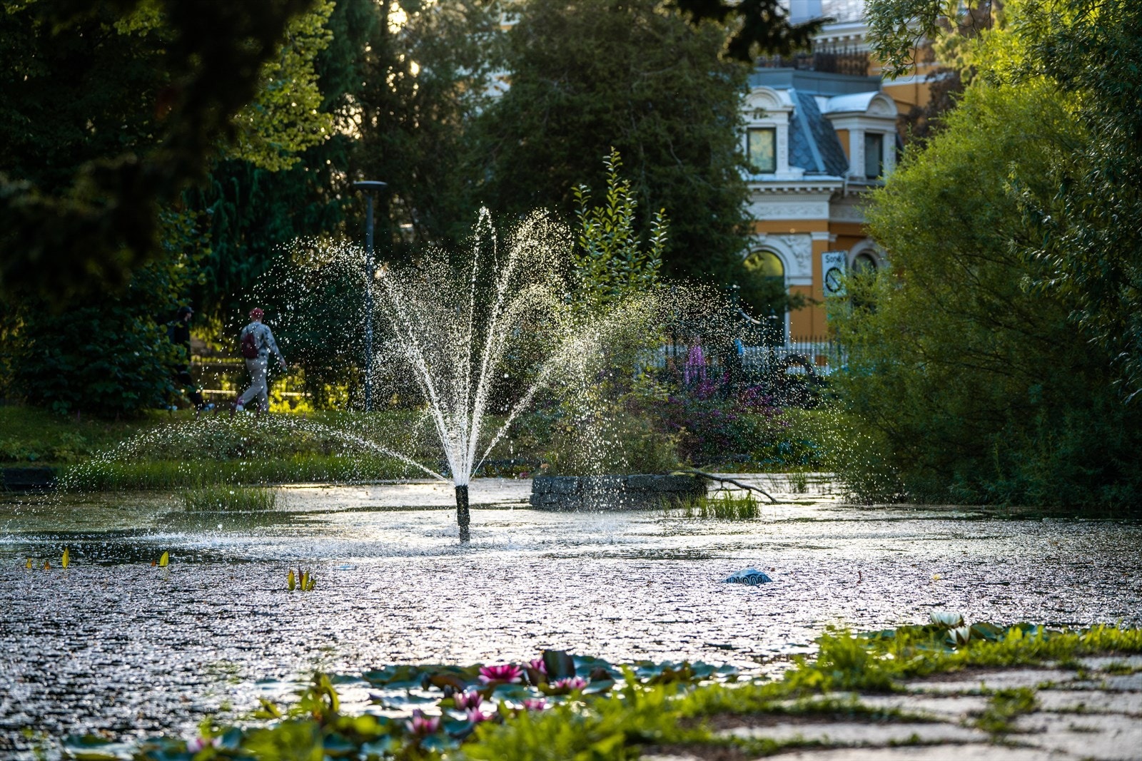 - Nygårdsparken er også fantastisk å ha i nærheten enten om du vil ta en spasertur eller ha en piknik - Galleribilde