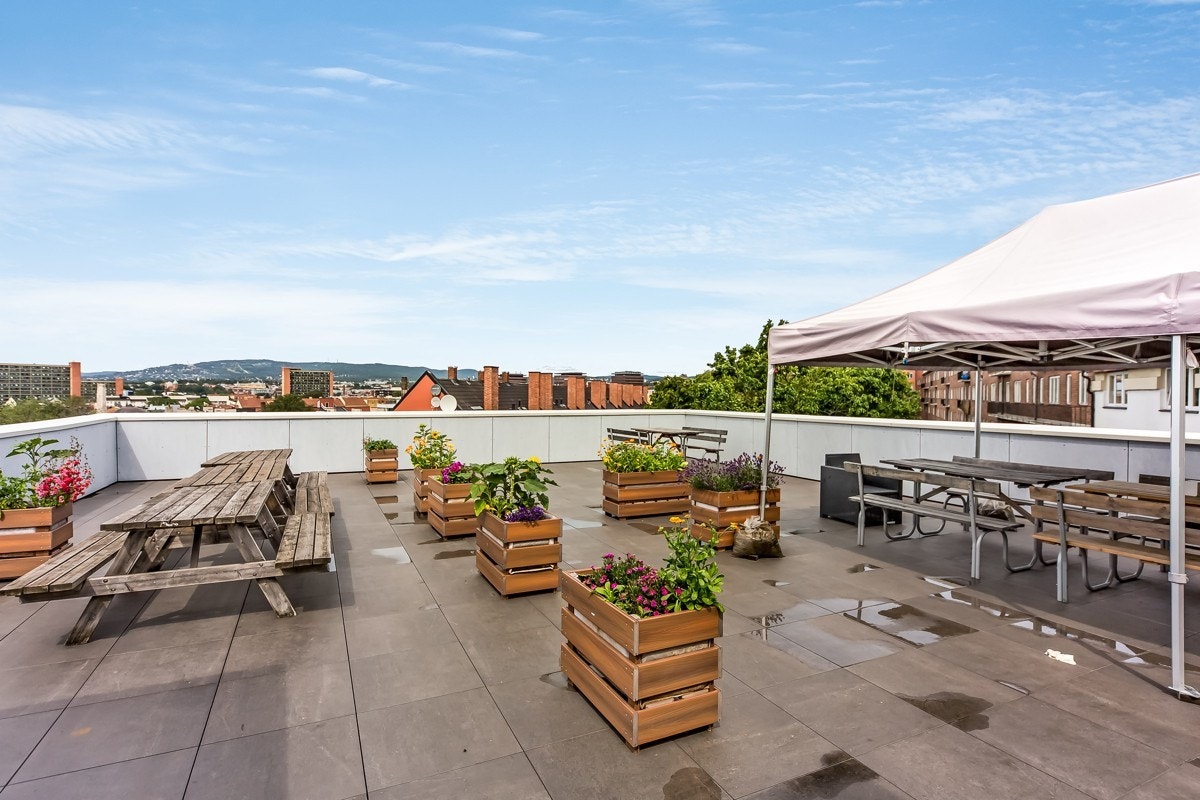 Takterrasse Galleribilde