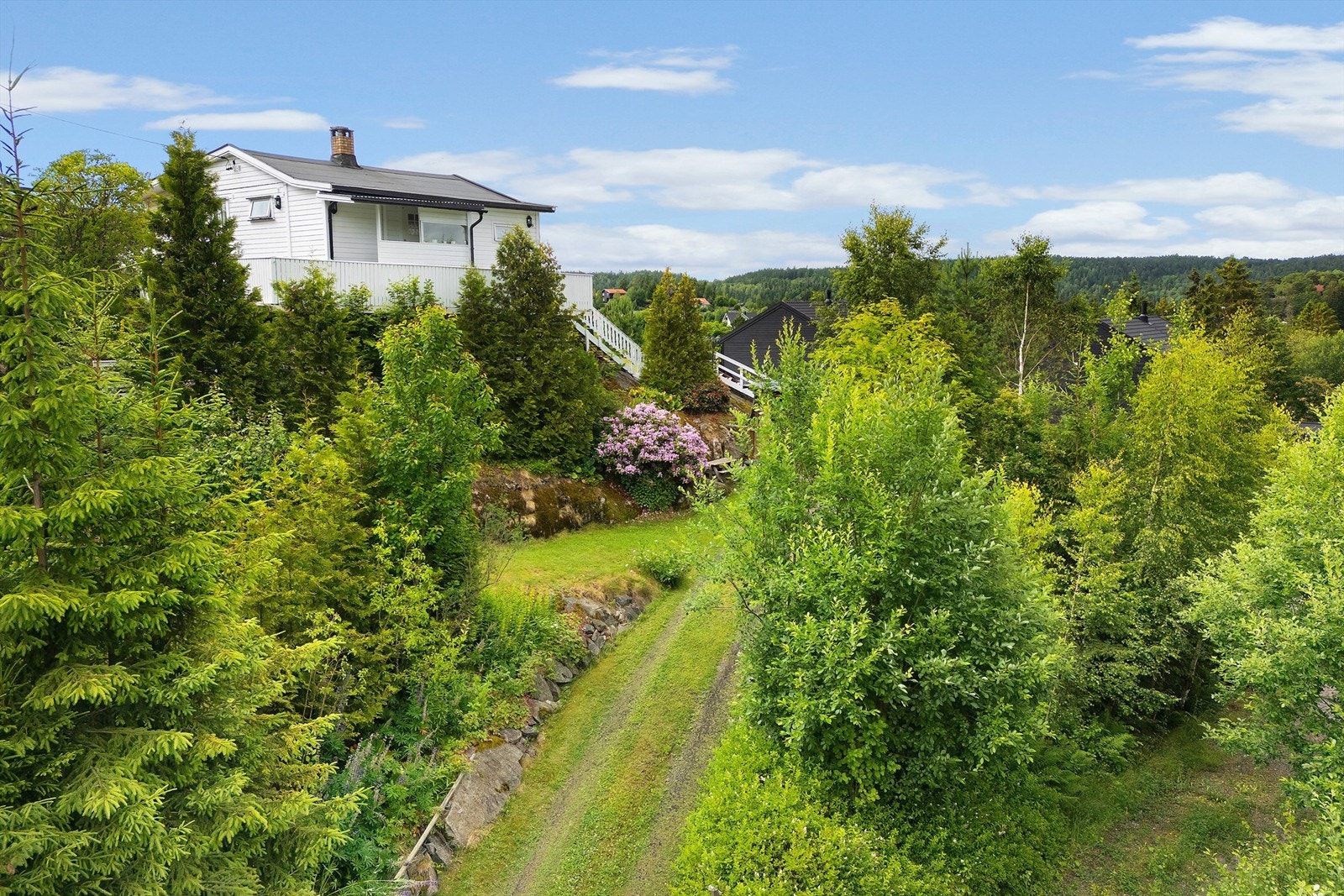 Flott tomt Galleribilde