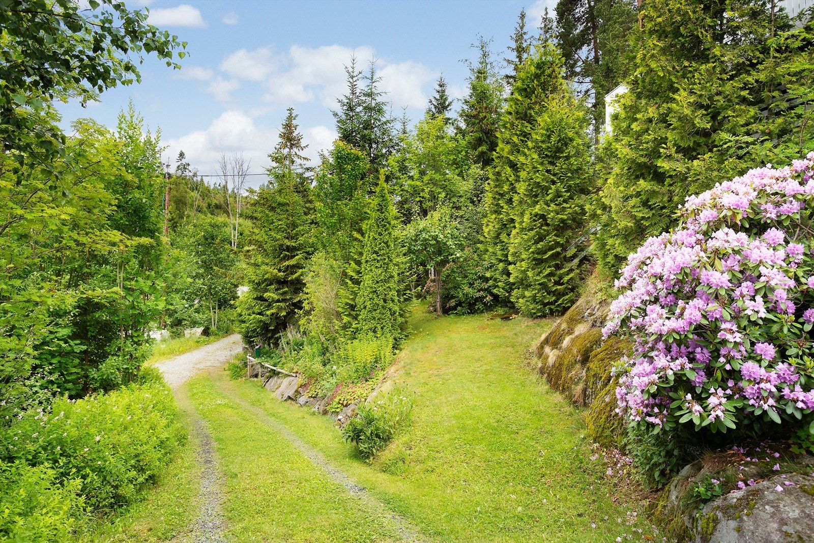 Naturtomt Galleribilde