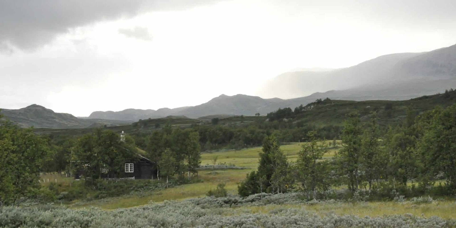 Leveldåsen - Ål Galleribilde