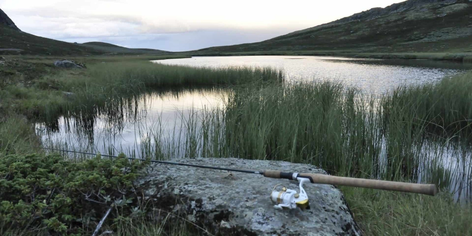 Fjellområde rundt Leveldåsen Galleribilde