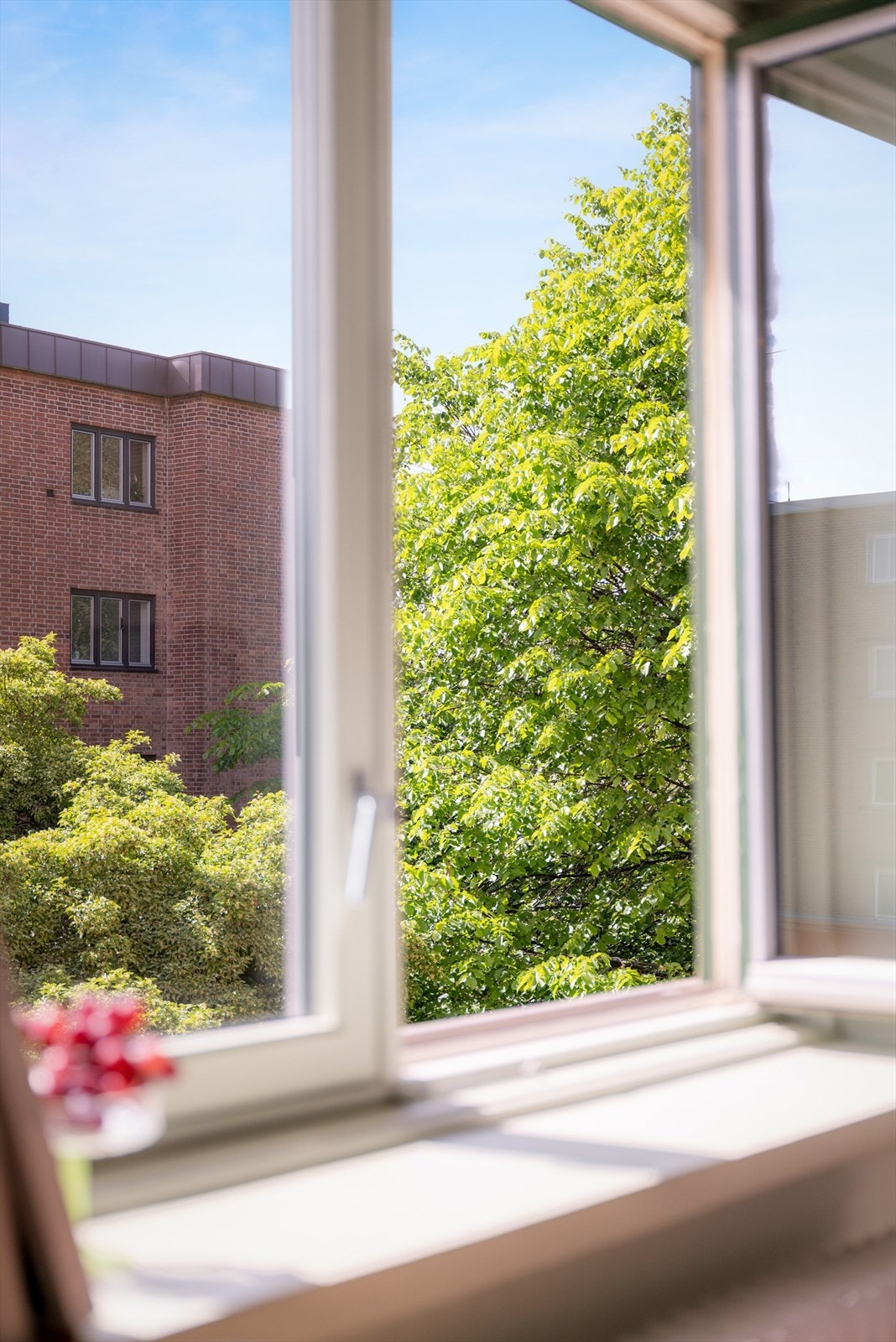 Nyt morgenkaffen med vinduene åpne med utsyn mot blå himmel og grønne frodige områder. Galleribilde