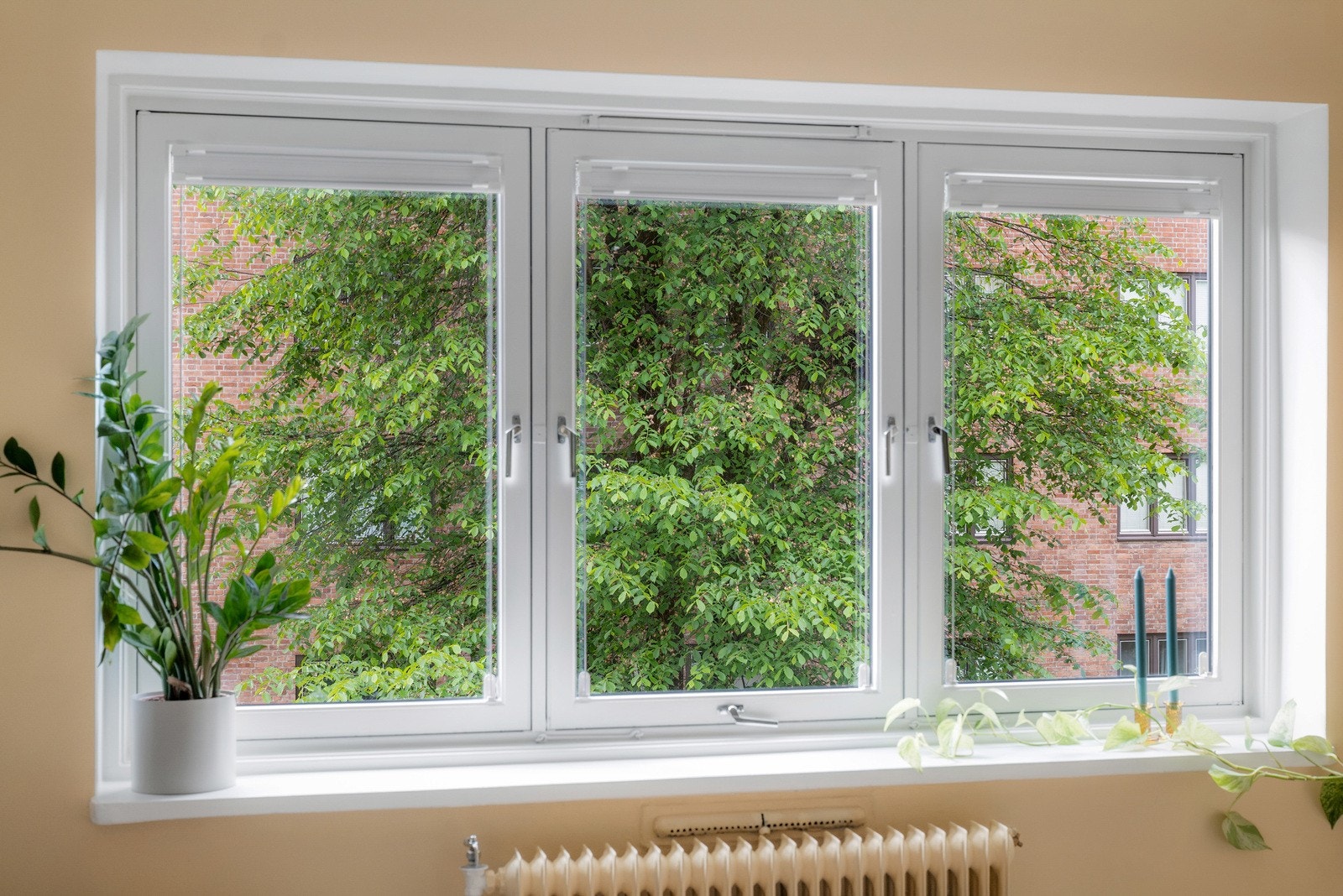 Boligen har et frodig utsyn - Her får du alle årstider inn i boligen. Galleribilde