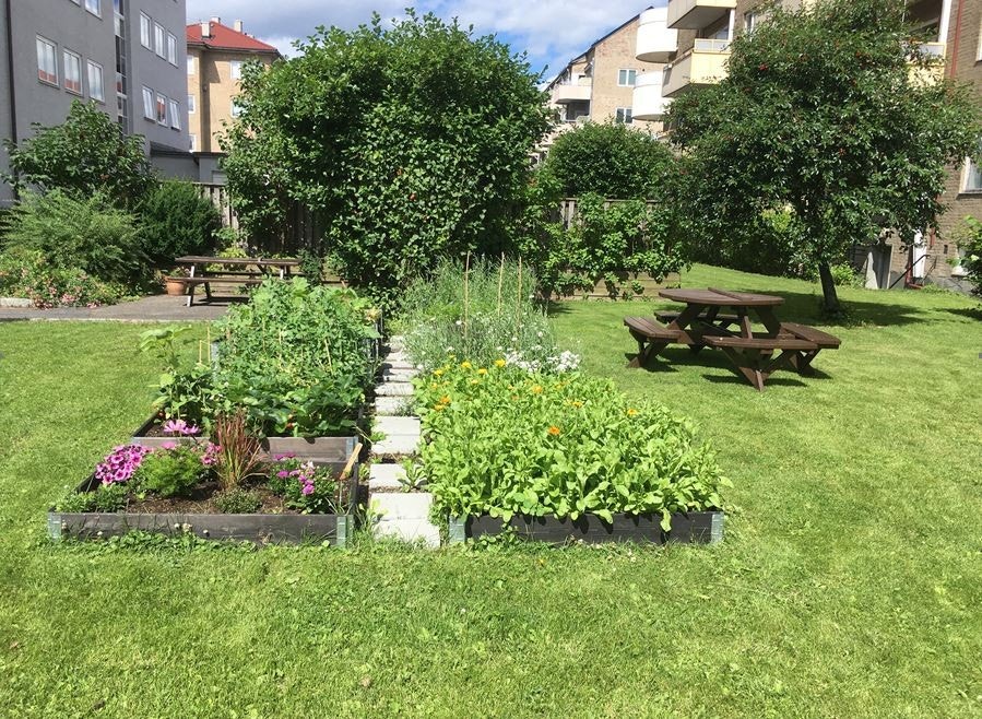 På sameietes koselige fellesområder kan man nyte sol og vakre grøntområder. Galleribilde