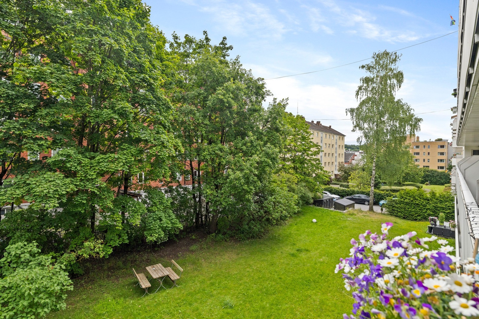 Grønne lunger rett utenfor din egen balkong - en idyllisk utsikt over frodige trær og en stor gressplen Galleribilde