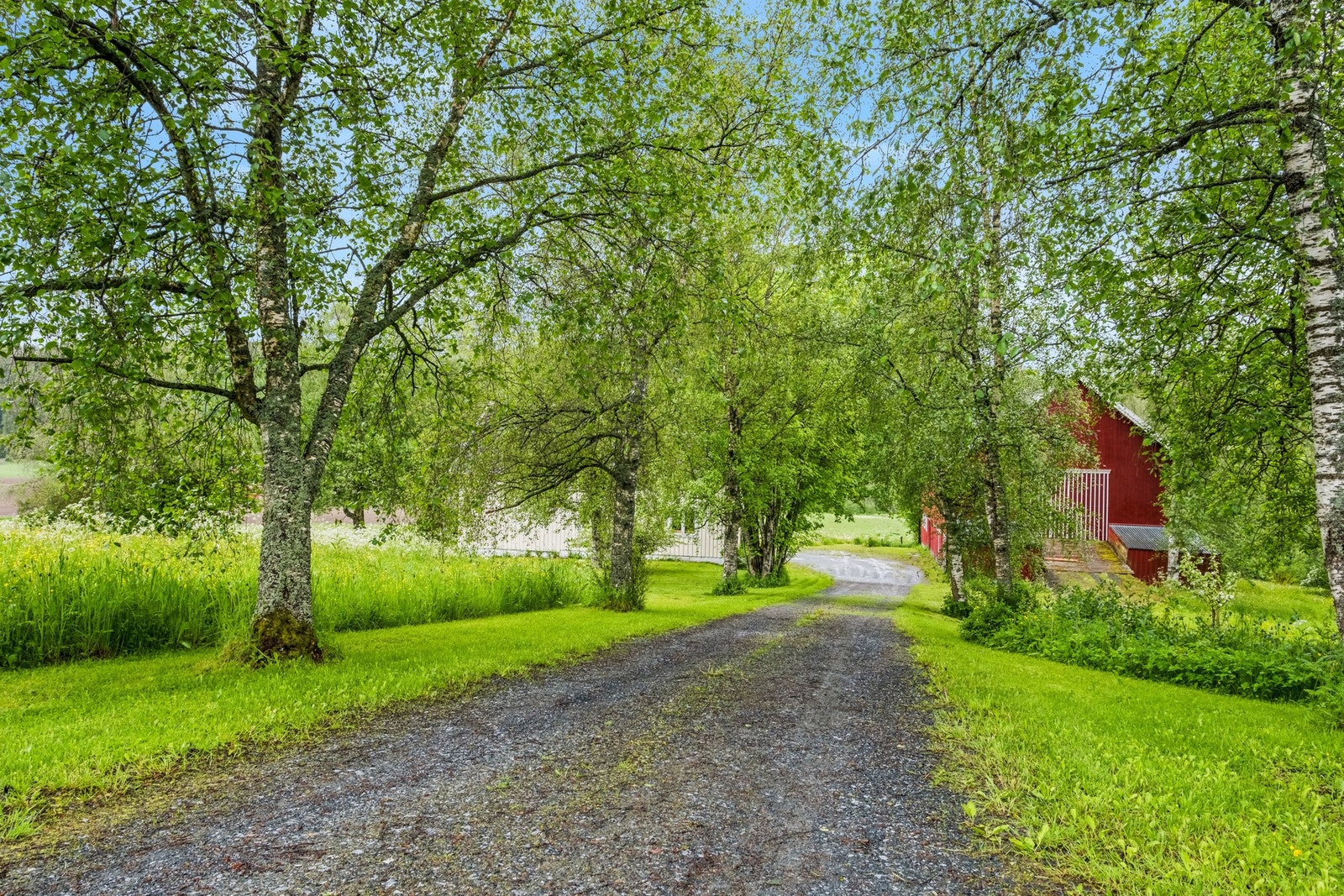 Gårdsveg Galleribilde