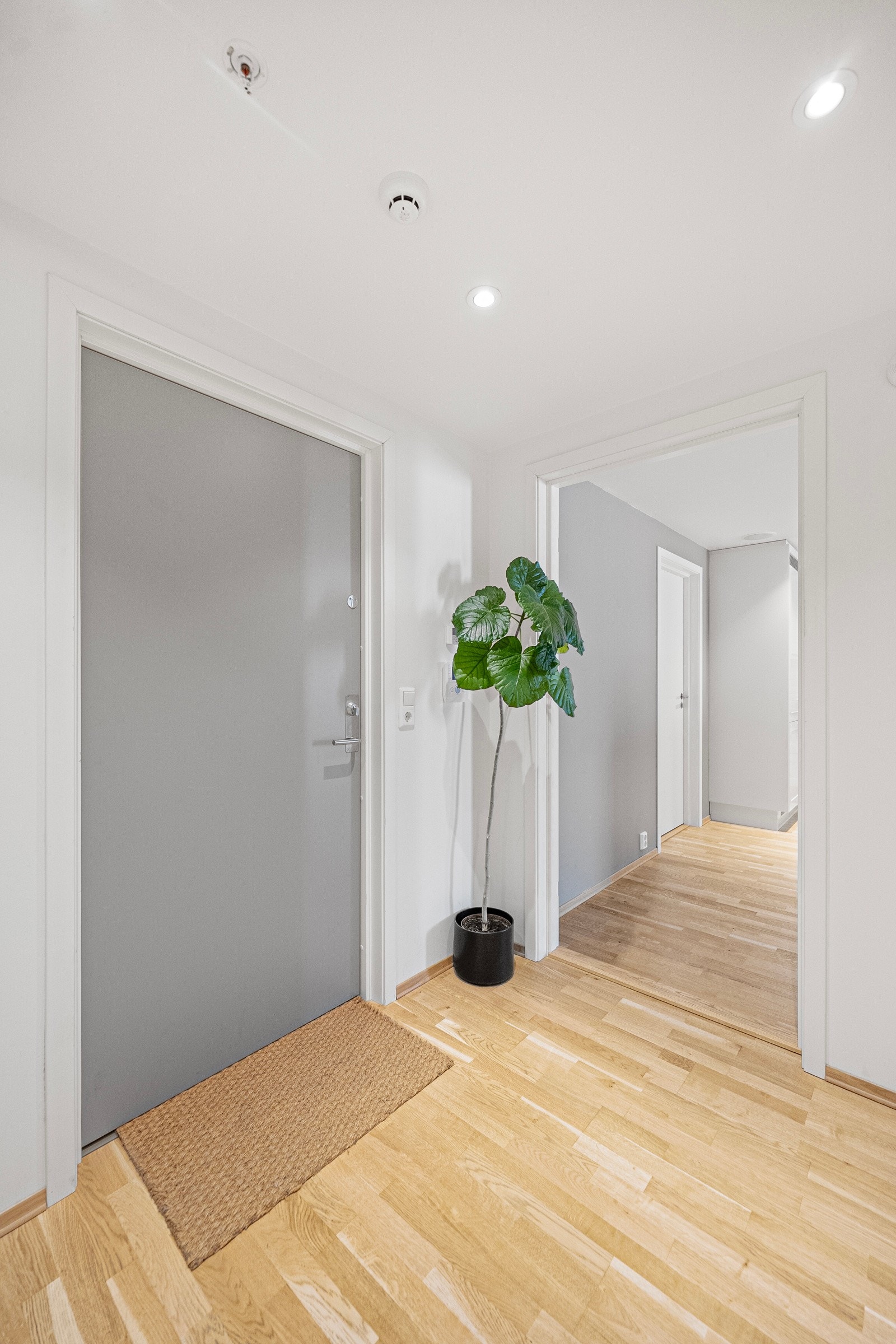 Velkommen inn! Galleribilde