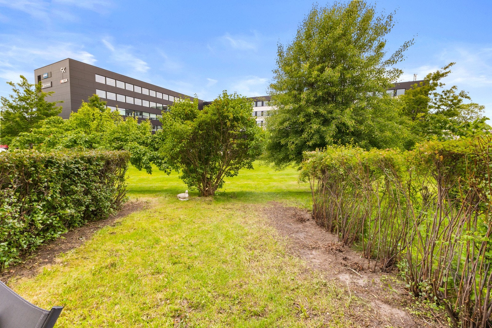 Egen hage Galleribilde