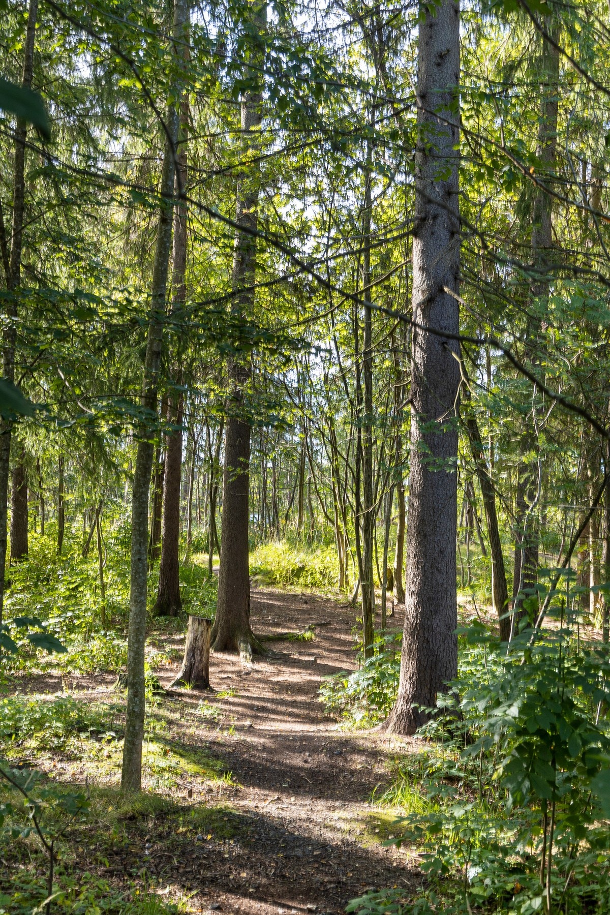 Naturskjønt område med små skogholt i umiddelbar nærhet. Galleribilde