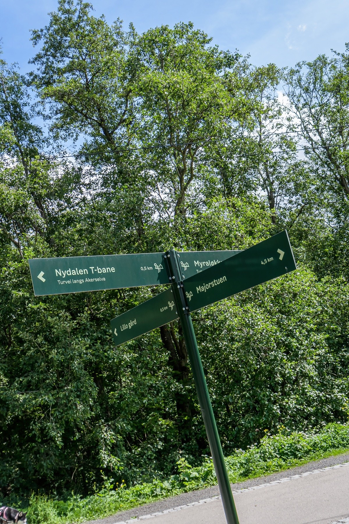 Det er gode tur- og rekreasjonsmuligheter i området. Galleribilde