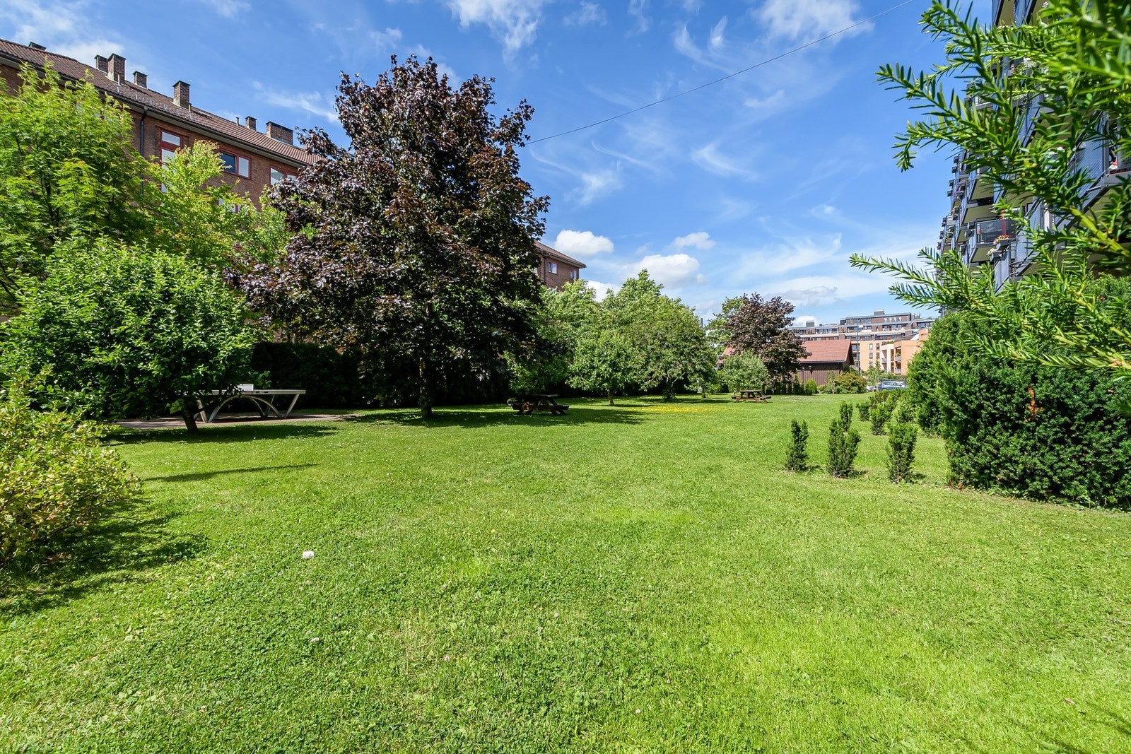 Velstelte og frodige fellesarealer med store gressplener, trær og koselige sittebenker. Galleribilde