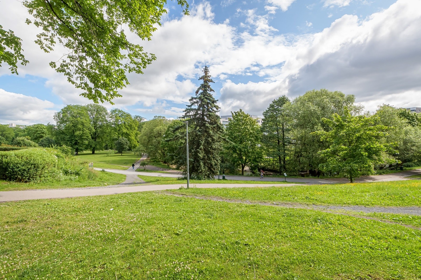 Kort vei til vakre, grønne parker og turområder. Galleribilde