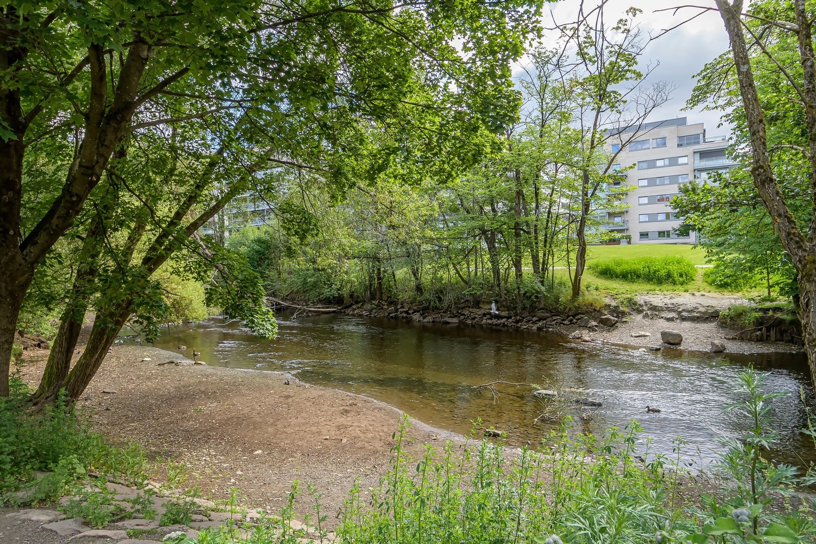 Her bor du like ved Akerselva - her er det også bademuligheter. Galleribilde