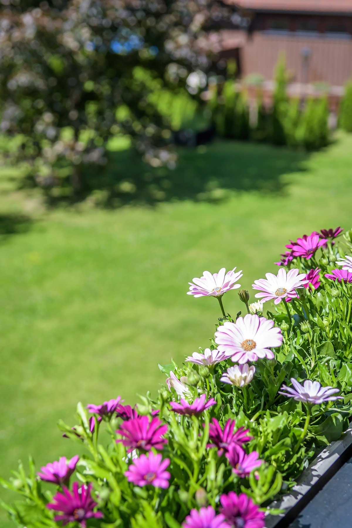 Detaljbilde. Galleribilde