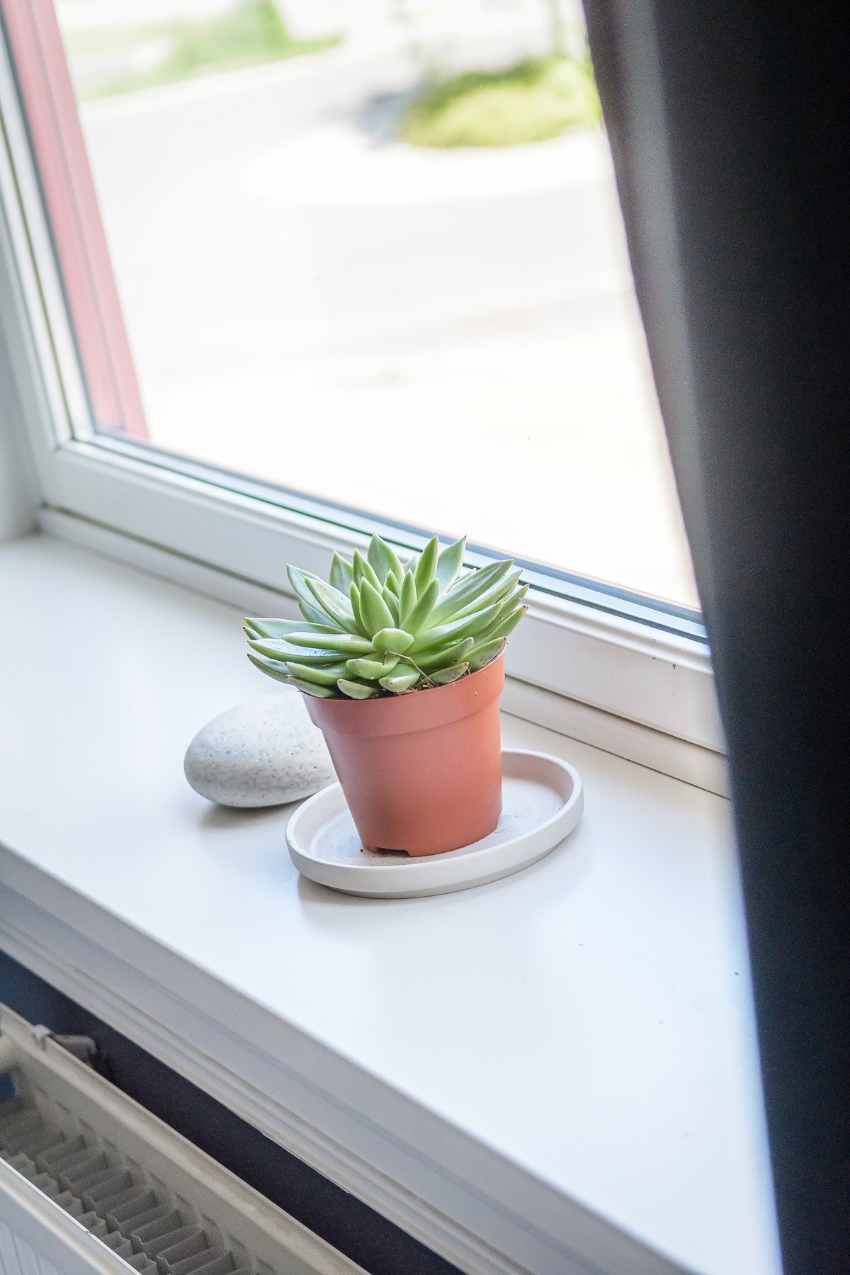 Brede karmer for ekstra dekor og pynt. Galleribilde