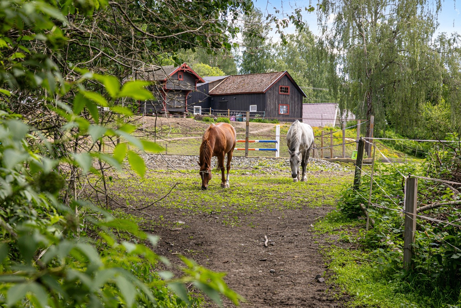 På eiendommen står det en flott stall klargjort for hester. Galleribilde