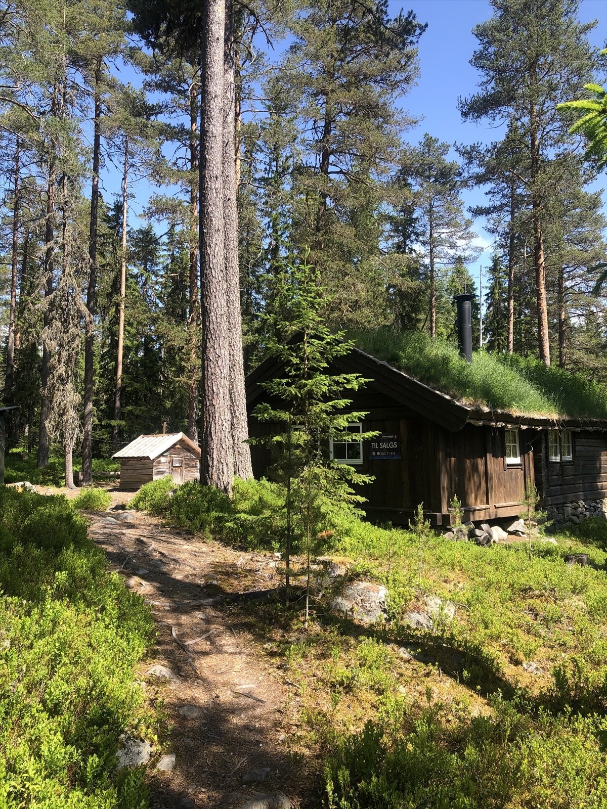 Hytta ligger en liten avstikker fra den populære Inga Låmi løypa som har forbindelse til Birkebeinerløypa Galleribilde