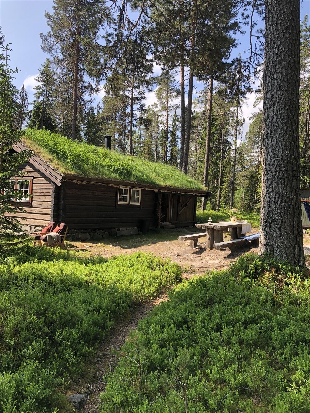 Velkommen til Mesnaelva 118! Galleribilde