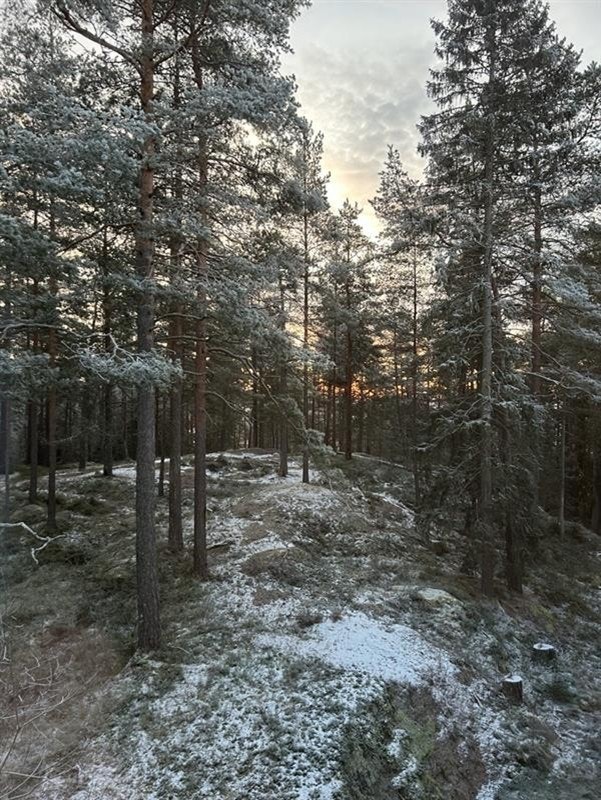 Bilde tatt av selger - Utsyn fra hovedsoverom på vinterstid Galleribilde