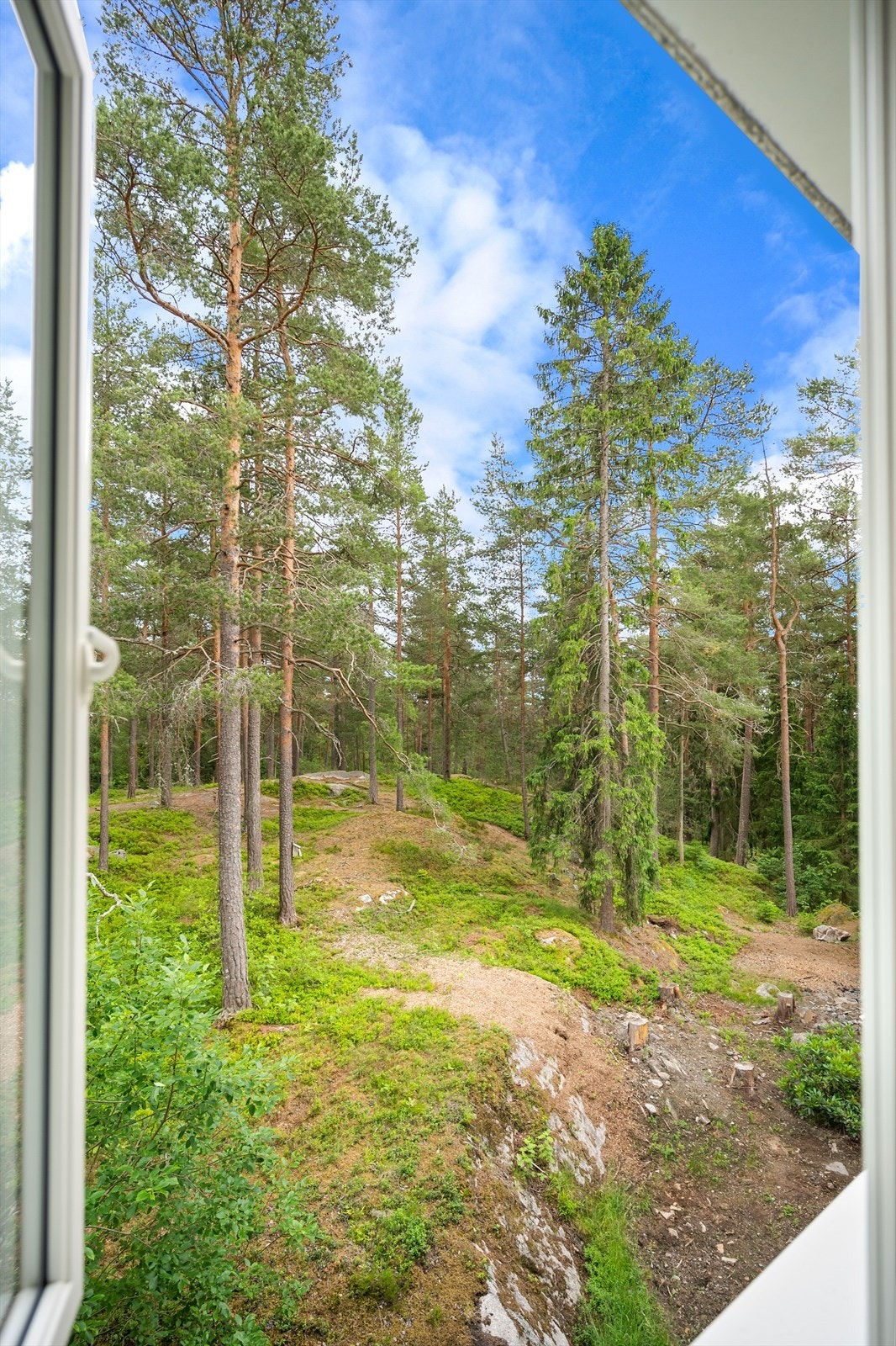 Her får du naturskjønne omgivelser med en liten lysløype gjennom skogen rett utenfor leiligheten Galleribilde