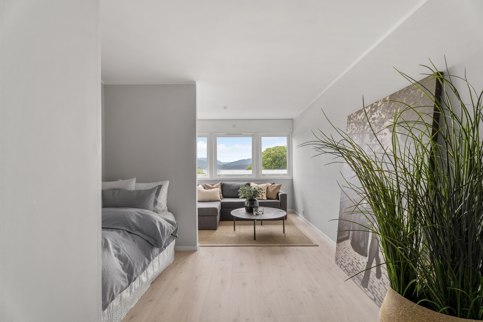 Velkommen til Borgundfjordvegen 97! Galleribilde