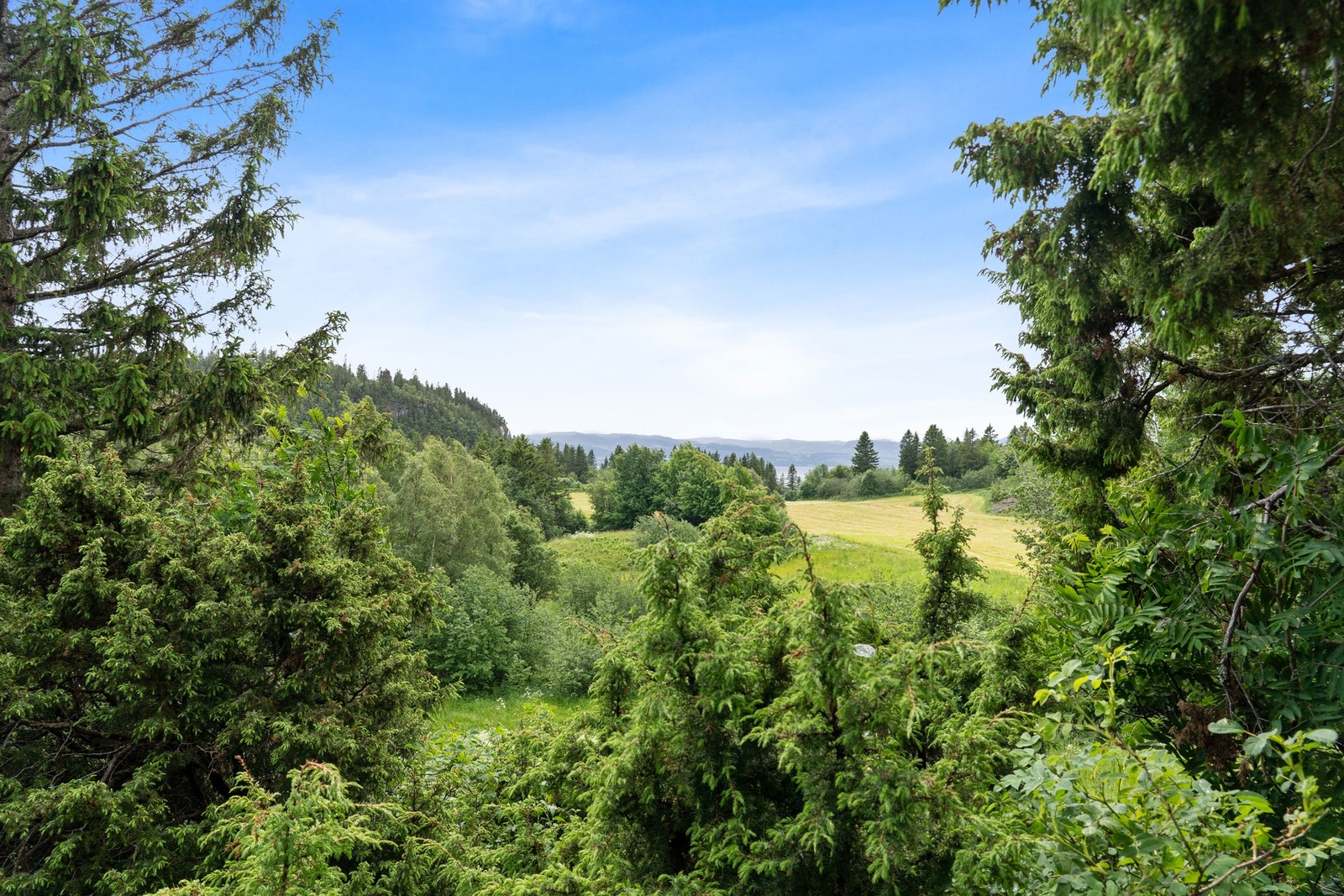 Velkommen til visning. Galleribilde