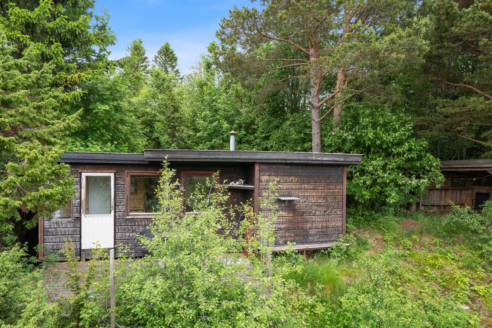 Fasade. Galleribilde