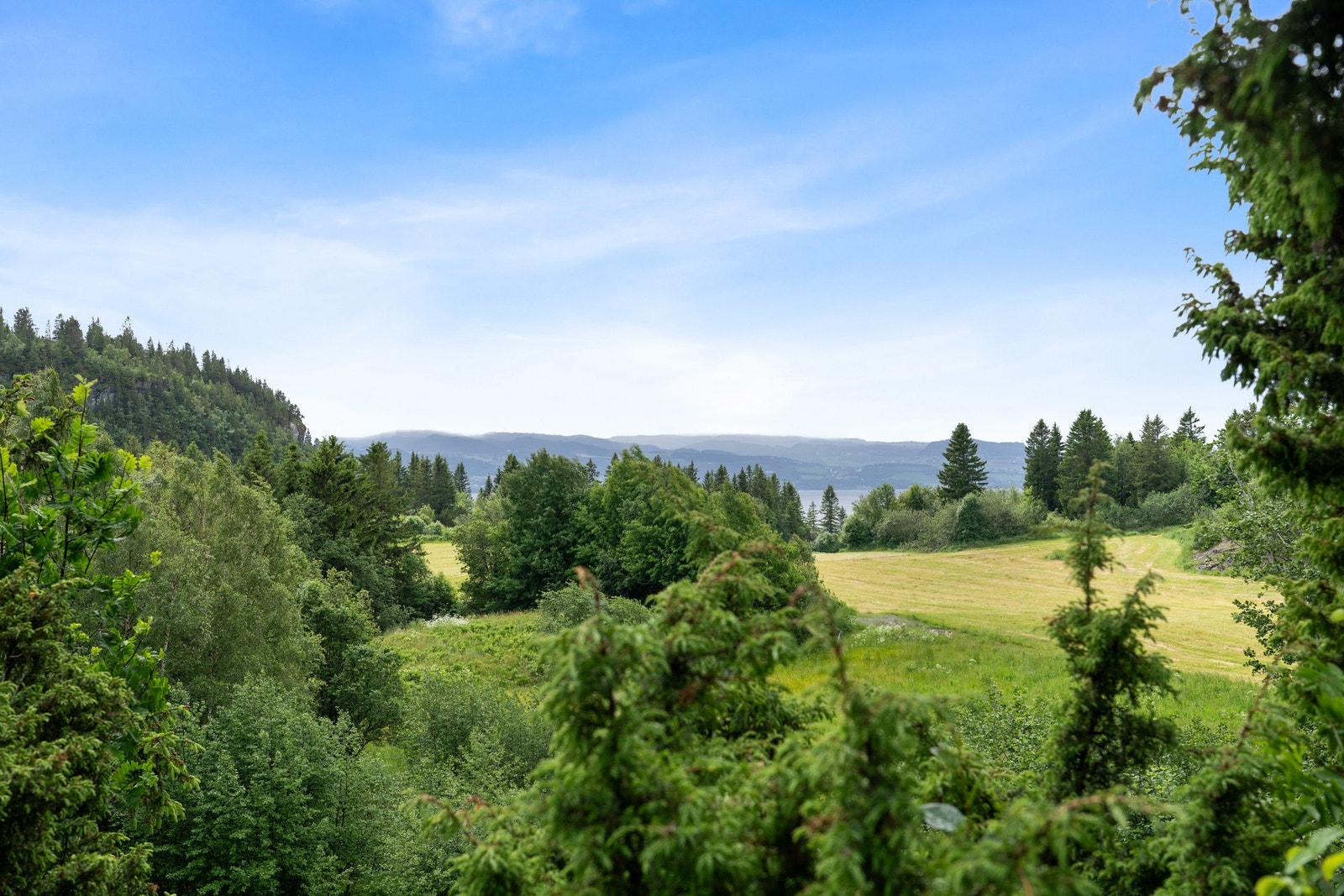 Flott utsikt i vakre naturomgivelser. Galleribilde