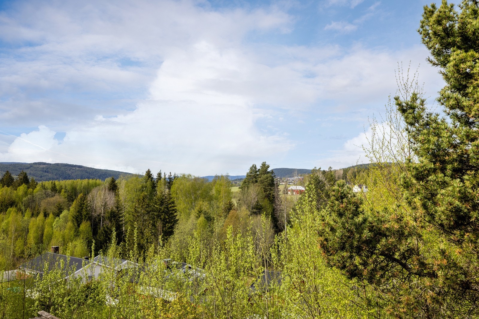 Området har fin utsikt. Galleribilde