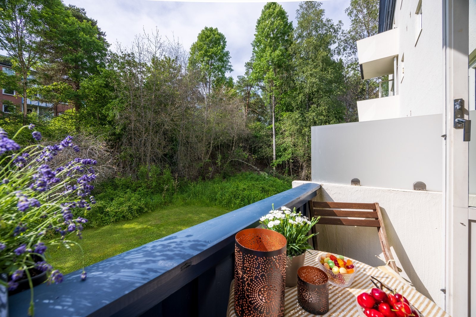 Om vinteren kan man gå rett ut i skiløypene som går rett utenfor døra! Galleribilde